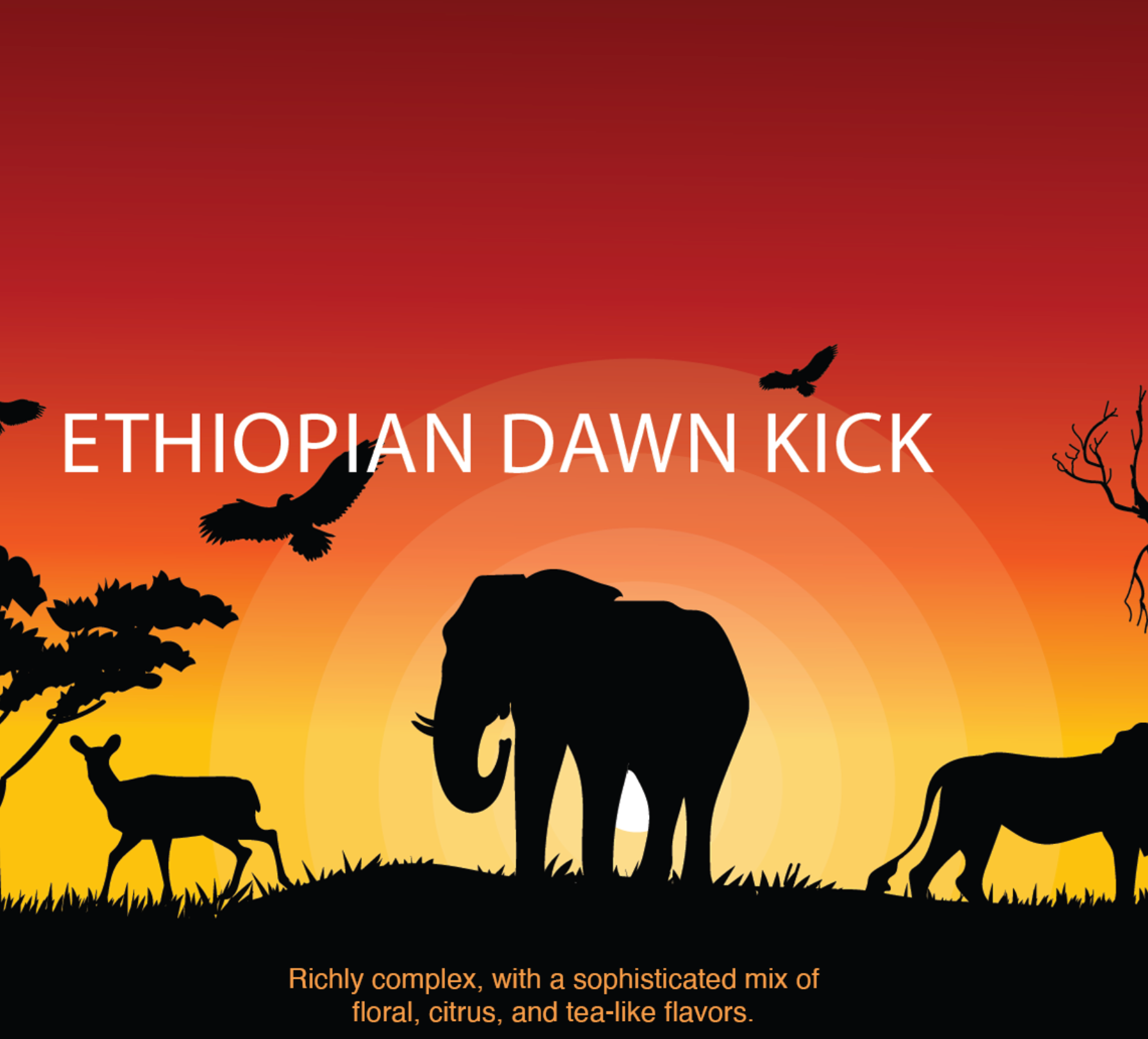 Ethiopian Dawn Kick K-Cups